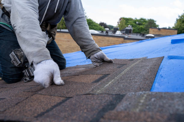 Best Best Roofing Contractors  in Myrtle Point, OR